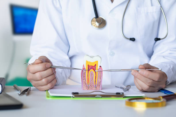 Best Emergency Dentist for Lost Fillings or Crowns in Flandreau, SD